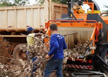 Equipamento transforma restos de poda em recurso sustentável em Porto Velho