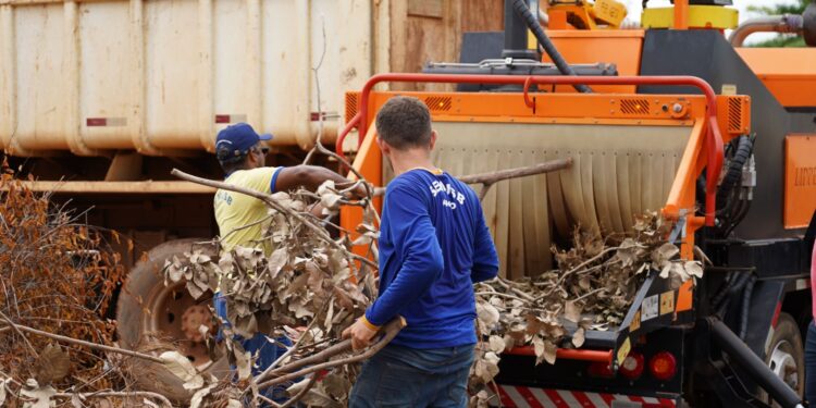 Equipamento transforma restos de poda em recurso sustentável em Porto Velho