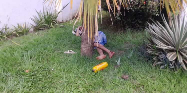 Moto de aplicativo avança preferencial e deixa três feridos em acidente na Rua da Beira